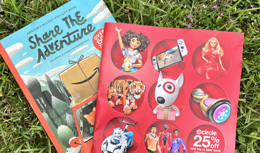 Target & Amazon Toy Catalog as a Learning Tool Passion in the Purpose